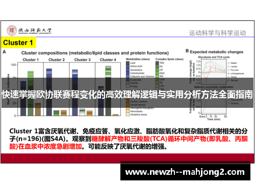 快速掌握欧协联赛程变化的高效理解逻辑与实用分析方法全面指南